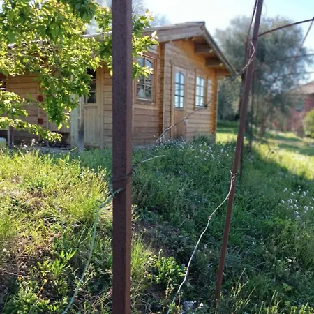 Σαλέ Nice Chalet Nicois With Garden-Pool And Terrace Νίκαια